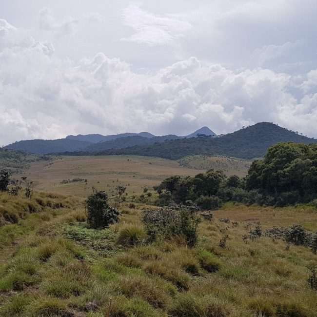 Horton Plains