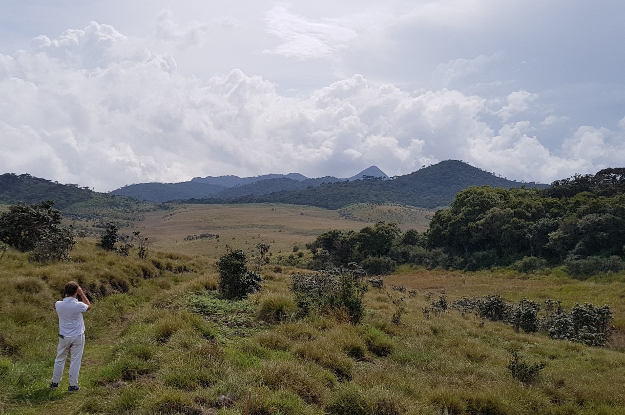 Horton Plains