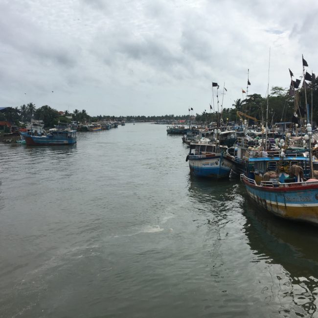 A voir Sri Lanka - Negombo