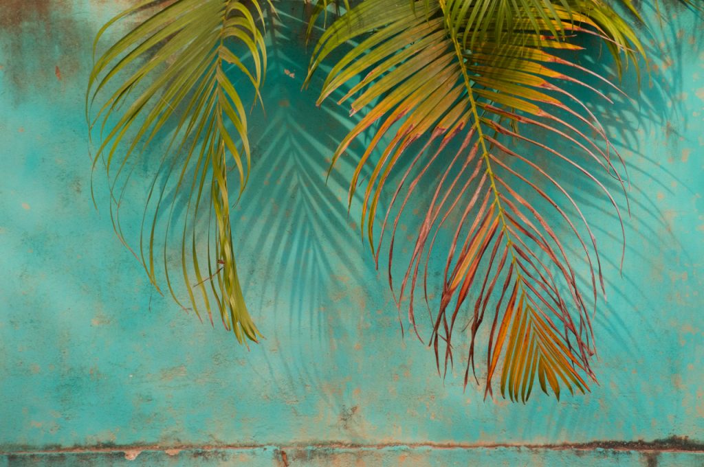 CUÁNDO PARTIR A SRI LANKA?