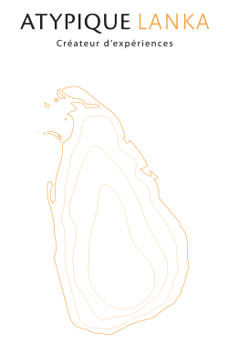 Destination Additional Image