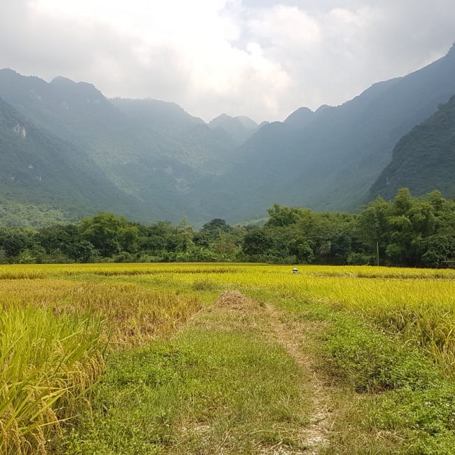 Mai Chau