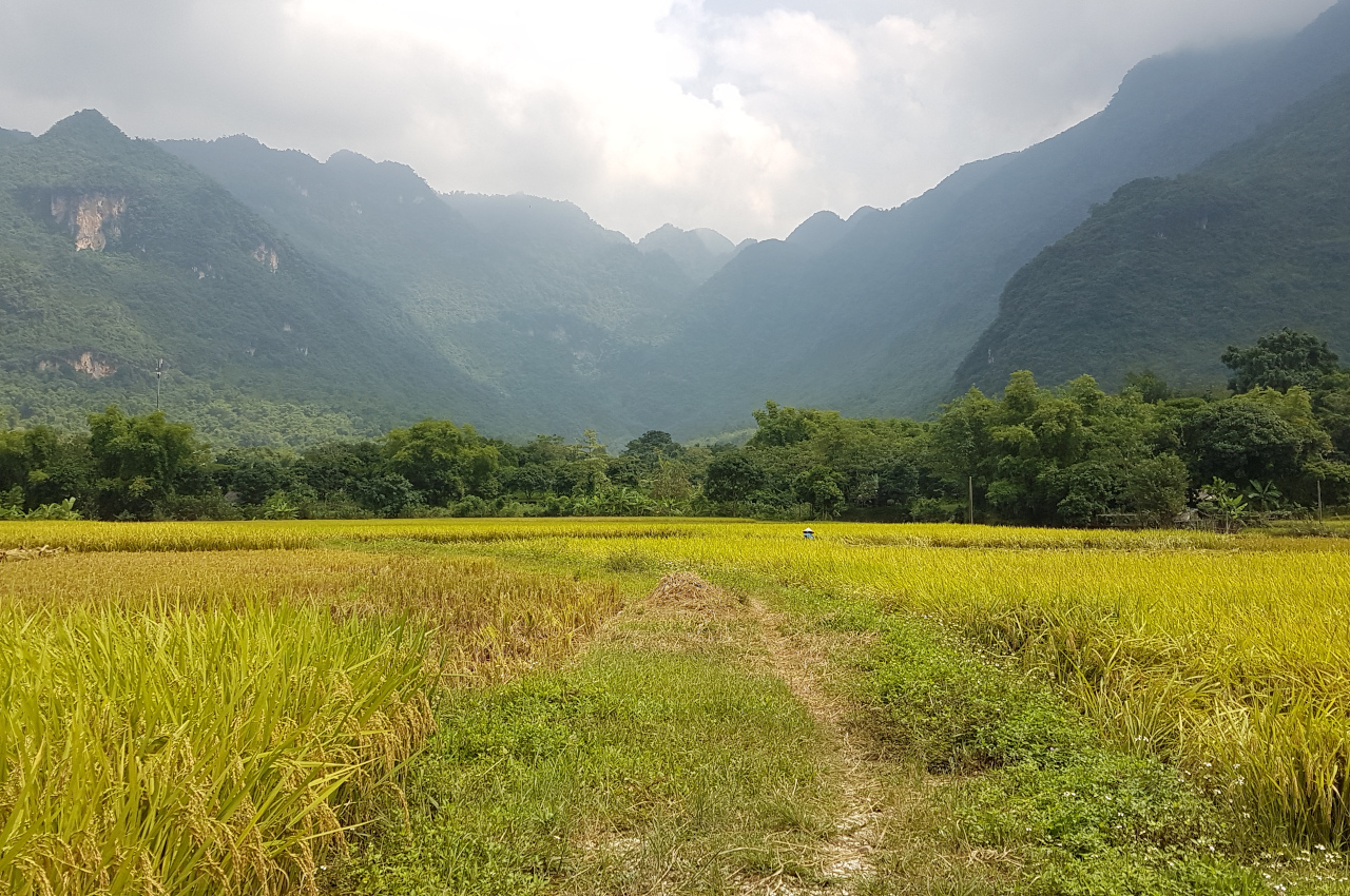Mai Chau