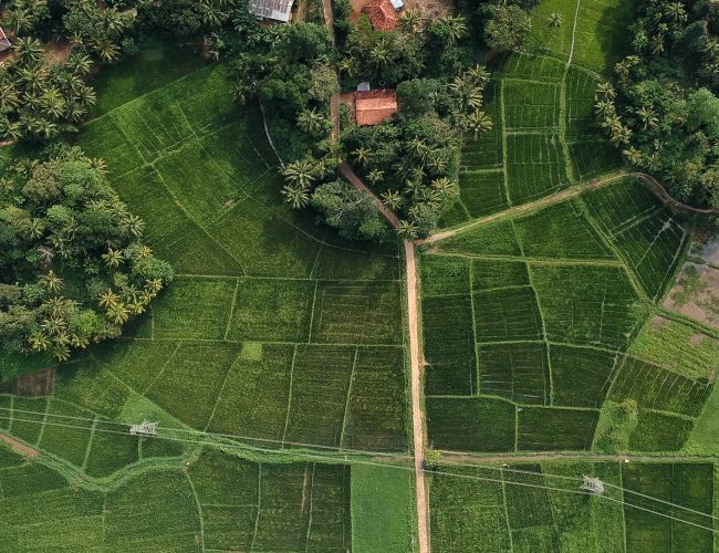 Le triangle culturel du Sri Lanka vu depuis une montgolfière