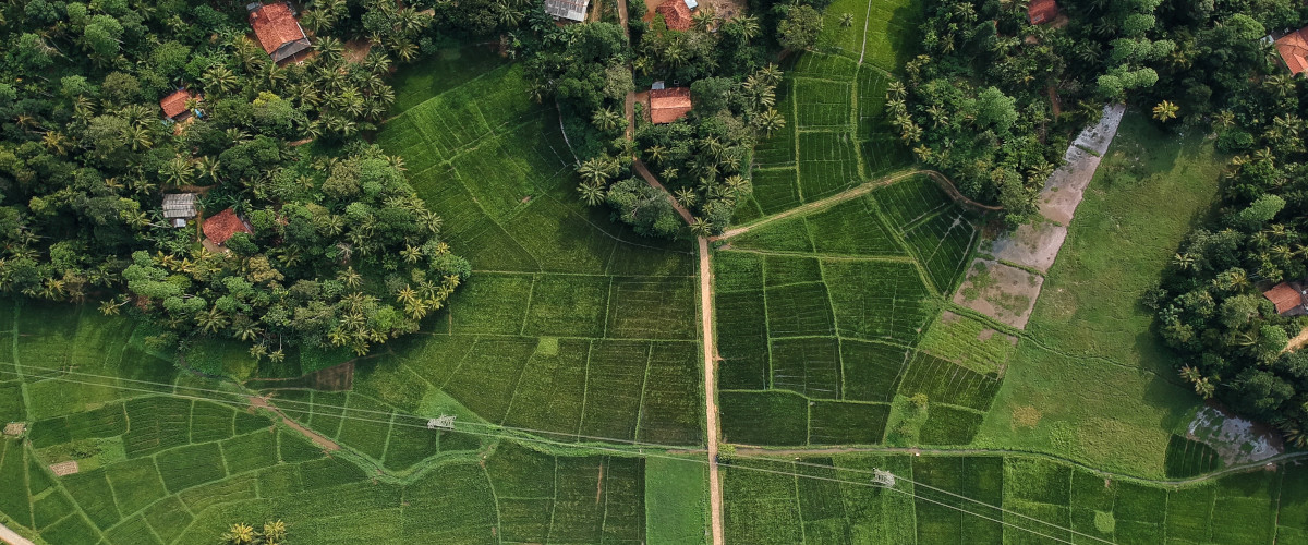 Le triangle culturel du Sri Lanka vu depuis une montgolfière
