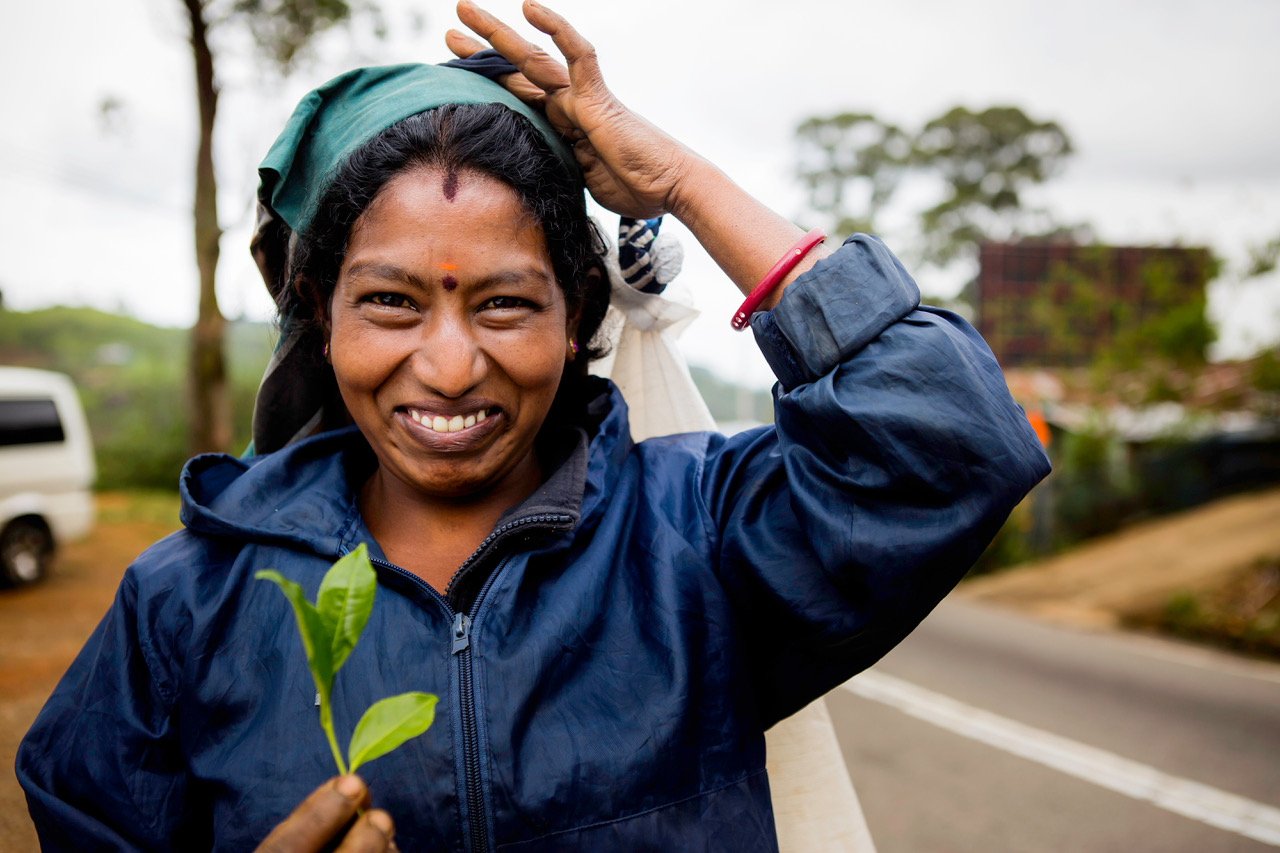 Page notre conception du voyage - paragraphe 1