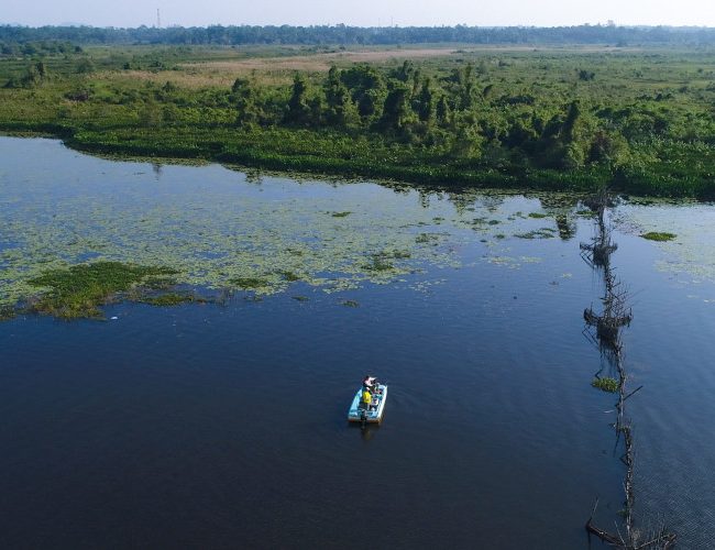 Lac de Bolgoda au Sri Lanka