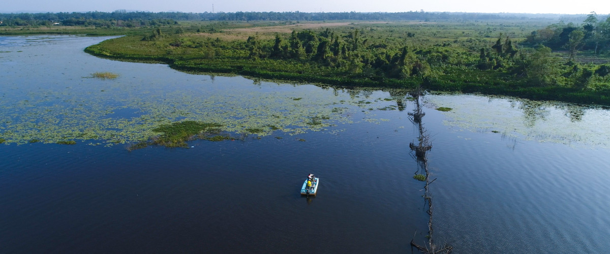 Lac de Bolgoda au Sri Lanka