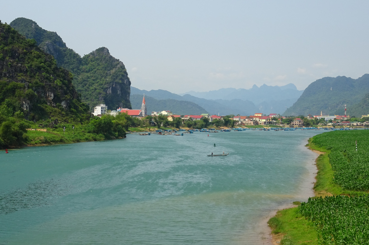 Phong nha