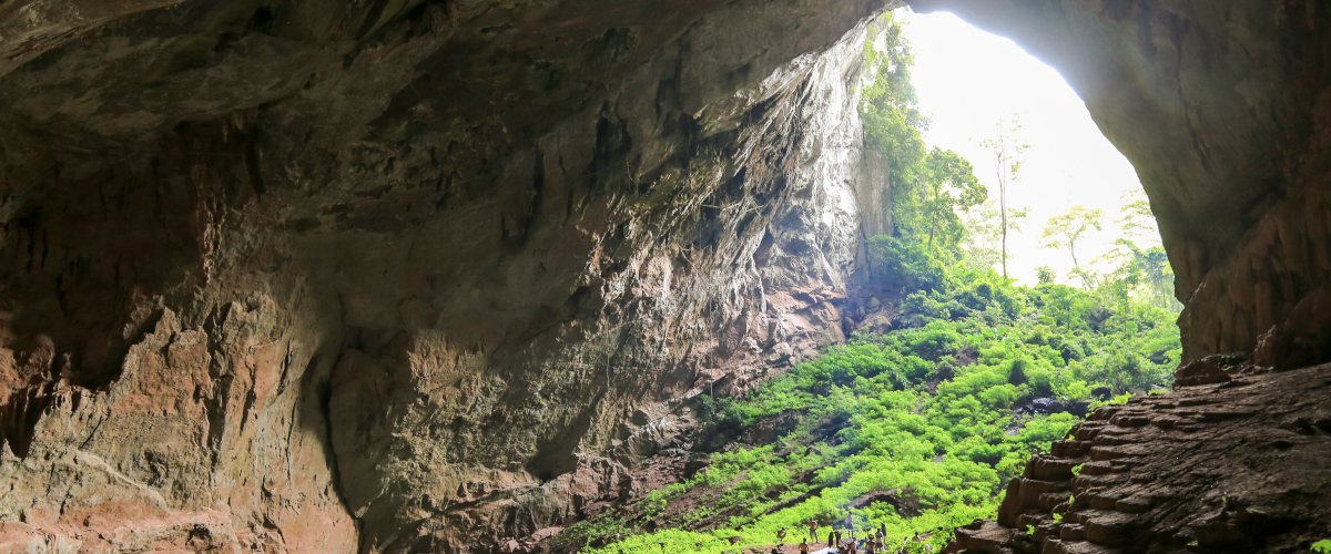 Trek dans la jungle et nuit insolite dans une grotte (3)