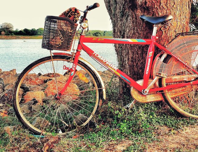 Découverte à vélo des ruines du site d'anuradhapura au Sri Lanka
