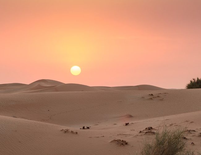 Nuit dans un oasis dans le désert de Dubaï