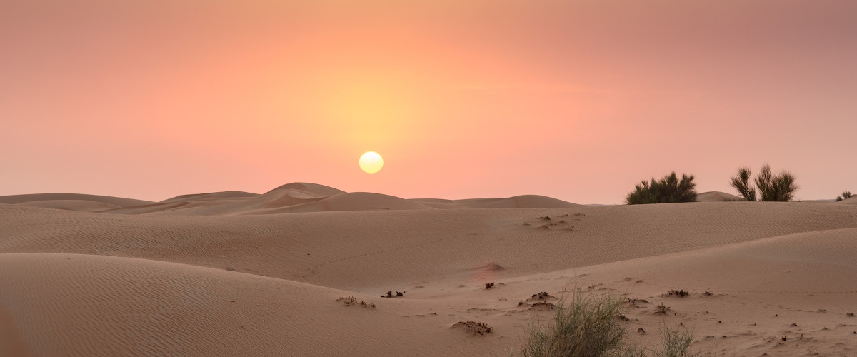 Nuit dans un oasis dans le désert de Dubaï